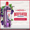 Ginebra Beefeater Blackberry