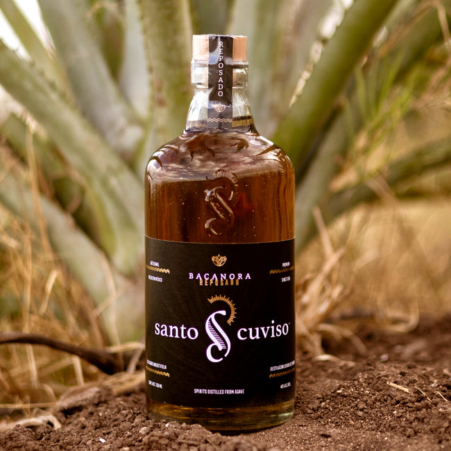 Bacanora Reposado Santo Cuviso