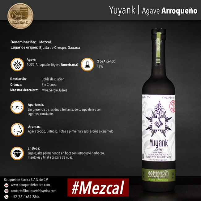 Mezcal Yuyank | Agave Arroqueño