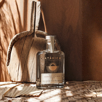 Raicilla Atávica agave Amarillo