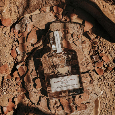 Raicilla Atávica agave Amarillo