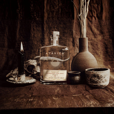 Raicilla Atávica agave Amarillo