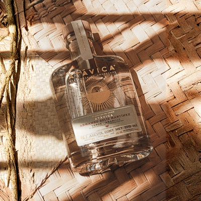 Raicilla Atávica agave Verde y Amarillo