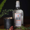Mezcal Bruxo Receta Inicial