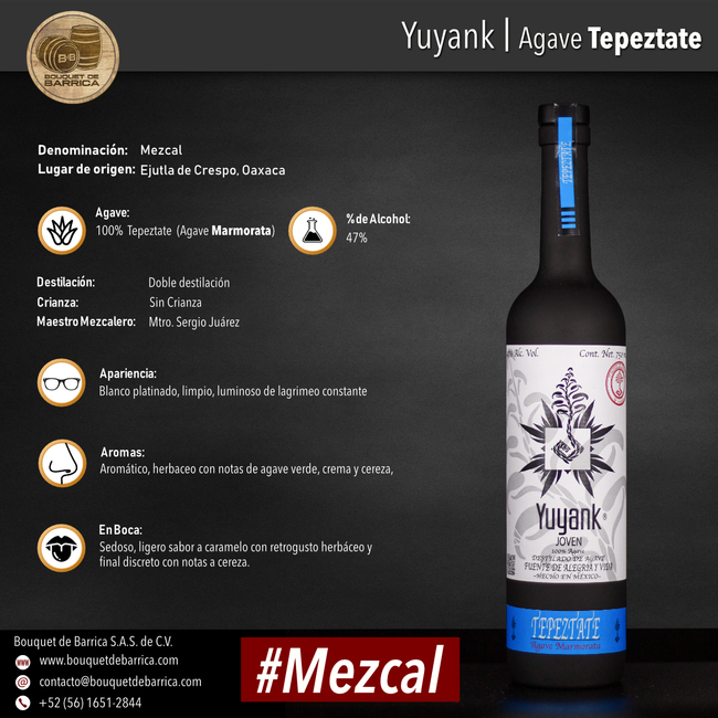 Mezcal Yuyank | Agave Tepextate